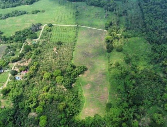 1,000 sqm Residential Farm For Sale in Indang Cavite