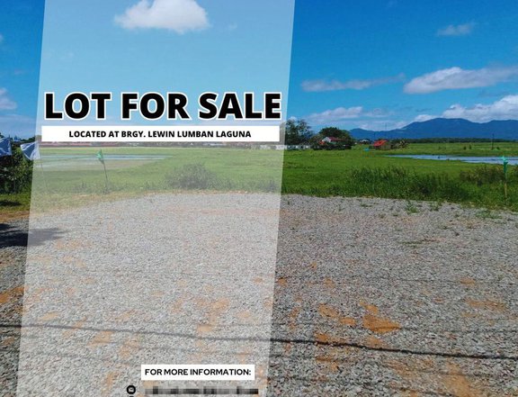 152 sqm Commercial Lot For Sale in Lumban Laguna