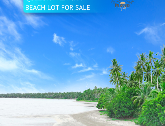 Palawan Beach Lot - Preselling Beach lot 793sqm property for sale in Quezon Palawan