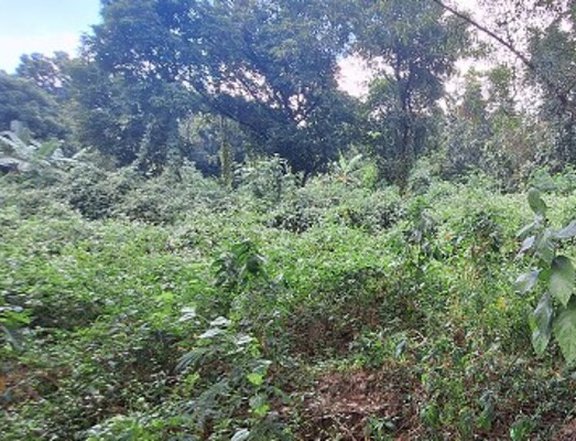 Foreclosed 2.13 hectares Residential Lot For Sale in Quezon City