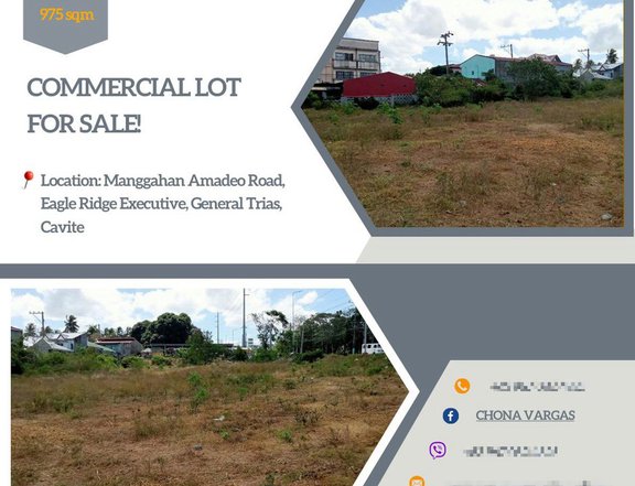 Commercial lot