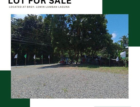 152 sqm Residential Lot For Sale in Lumban Laguna