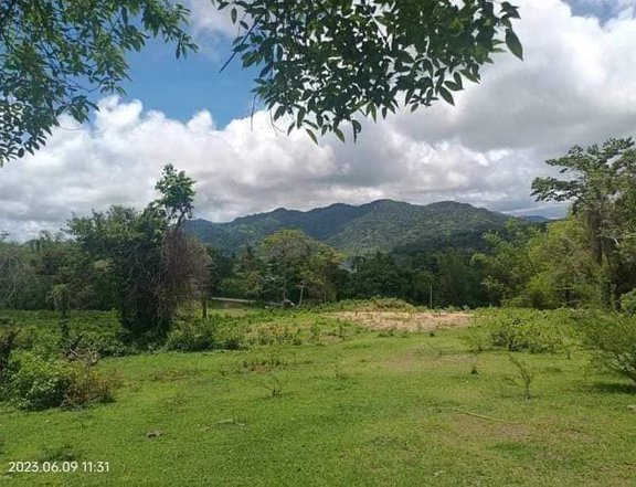 108 sqm Residential Lot For Sale in Batangas City Batangas