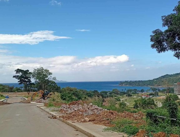 Residential Lot for sale overlooking the beach  in Nasugbu Batangas