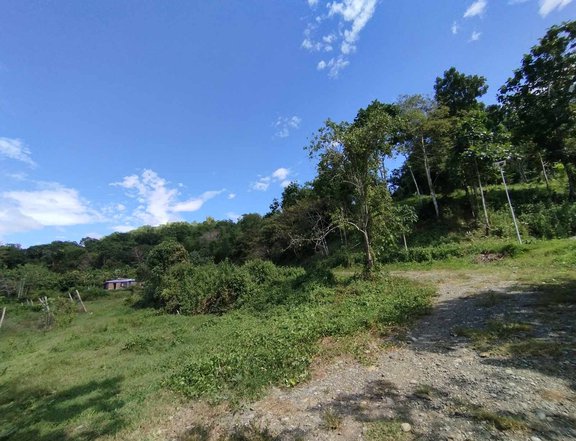 Residential Lot For Sale in San Pedro, San Jose De Buenavista Antique