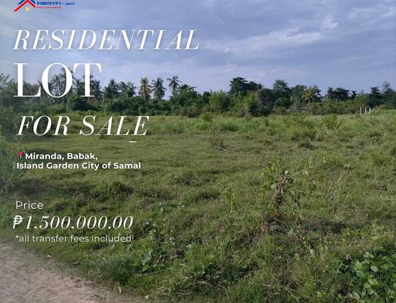 500 sqm Residential Lot For Sale in Samal Davao Del Norte