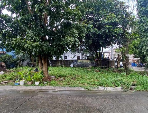 228 sqm Residential Lot For Sale in Cabuyao, Laguna