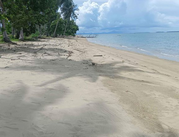 3,647 sqm Subdivided Beach Lot in Roxas Palawan