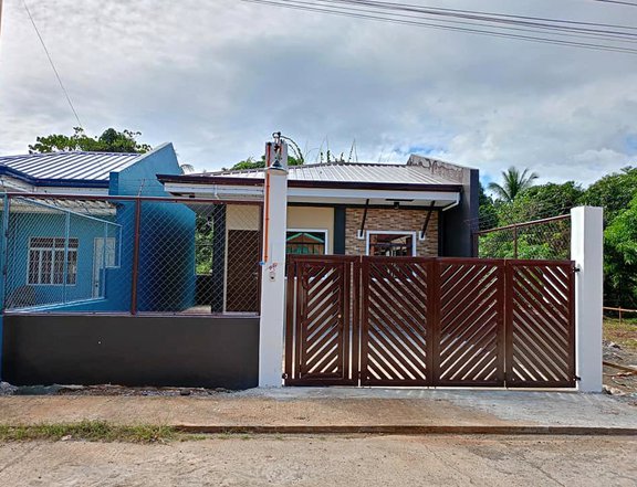 2-bedroom Single Detached House For Sale in Puerto Princesa Palawan