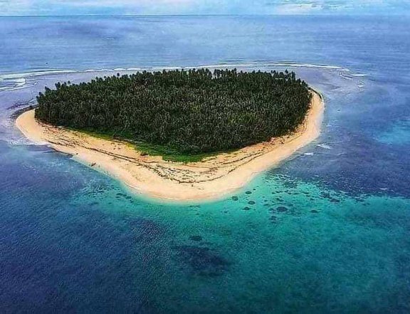 10.3 Hectares Mancahorom Island for Sale in Surigao del Sur