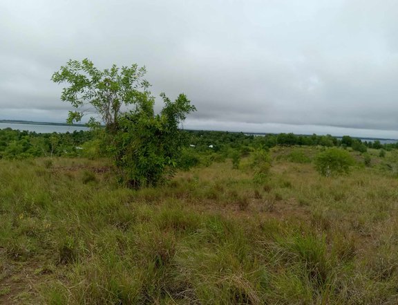 Lot for sale 5.2 hectares title overlooking to the sea