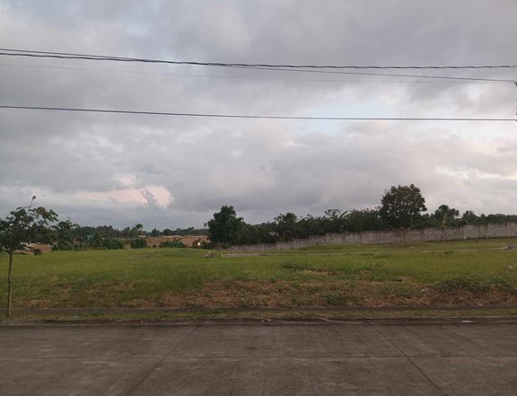 Residential Lot for Sale in Nuvali Estate Laguna near Miriam Collage