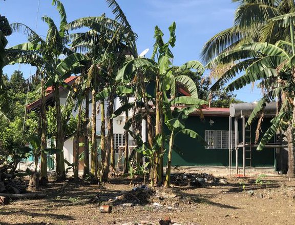 1.12 hectares home w/Farm in Tagaytay Plantation Midlands area