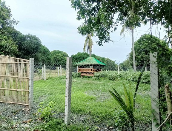 125 sqm Residential Farm For Sale in San Juan Batangas
