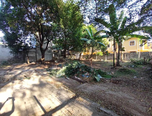 480 sqm Residential Lot For Sale in Almar Subdivision, Caloocan