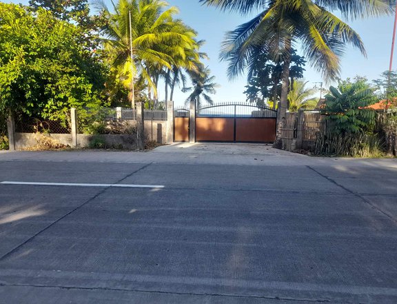 800 sqm Beach Property For Sale in Duero Bohol