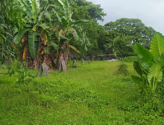 For Sale: Residential / Farm Lot in Pandi, Bulacan - Invest Now!!!