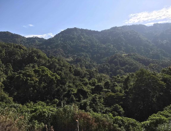 6.5 Hectares Raw Land near Baguio City, Benguet For Sale