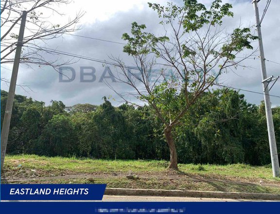 480sqm Residential Lot For Sale in Eastland Heights, Antipolo City