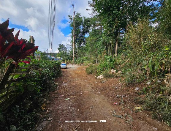 Lot for Sale Walking Distance to SM City Baguio