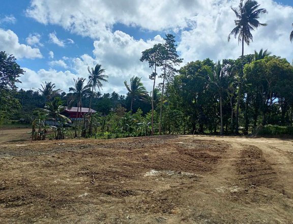 Affordable lot in Alfonso