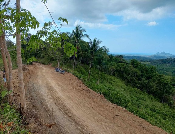 14.42 hectares Agricultural Farm For Sale in Quezon Palawan