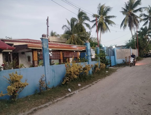 Lodging/hotel for sale, 6-bedrooms income generating at Panglao Island