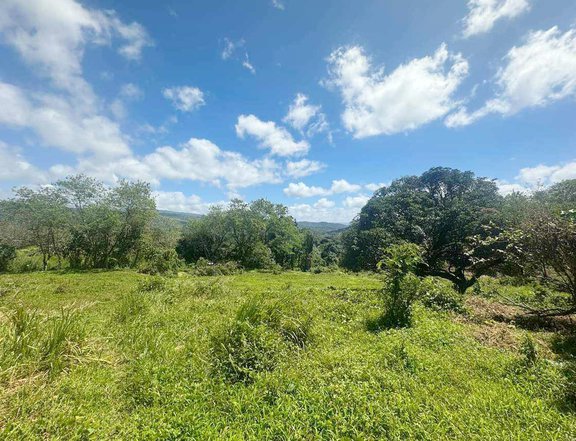 100 sqm Residential Farm For Sale in Tanay Rizal