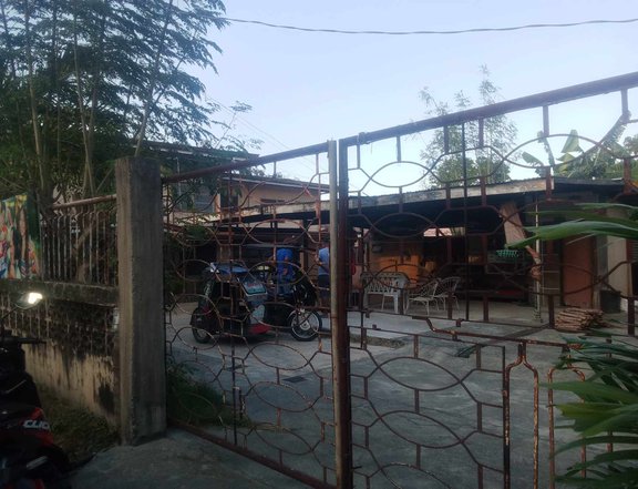 230 sqm Residential Lot For Sale in Lingayen Pangasinan
