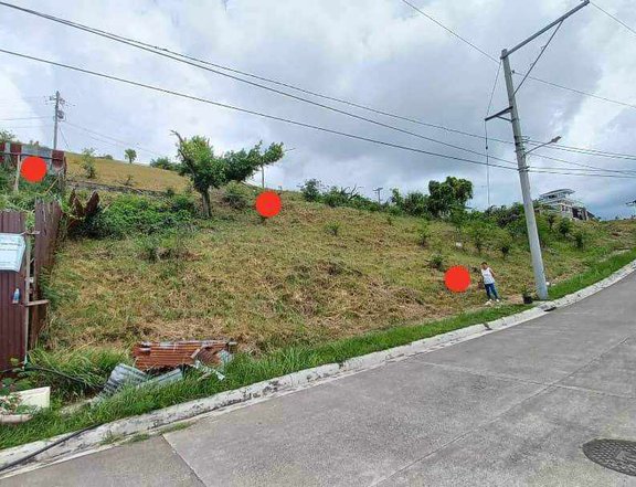 Overlooking 300 sqm High End Residential Lot For Sale in Talisay Cebu