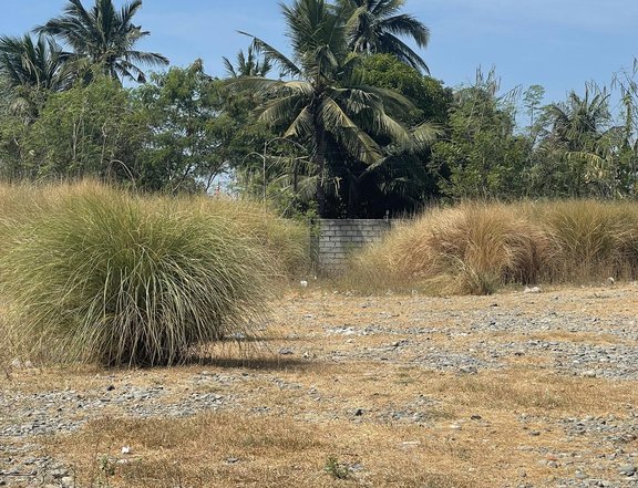2,000 sqm Beach Property For Sale in San Fabian Pangasinan