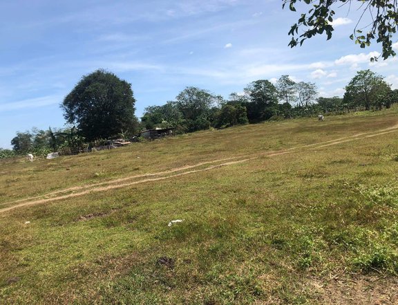 Raw lot in Tanza Cavite for lease- deal for warehouse or open storage