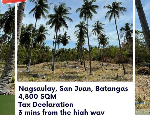 100 sqm Residential Farm For Sale in San Juan Batangas