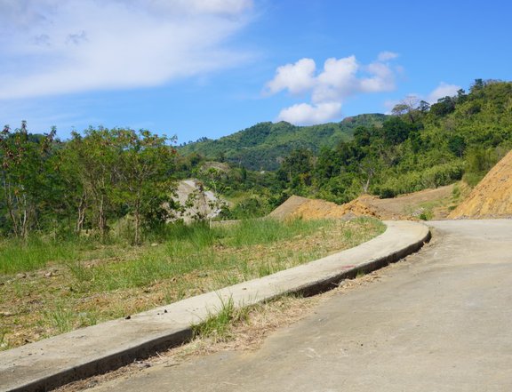 120 sqm Residential Lot For Sale in Baras Rizal