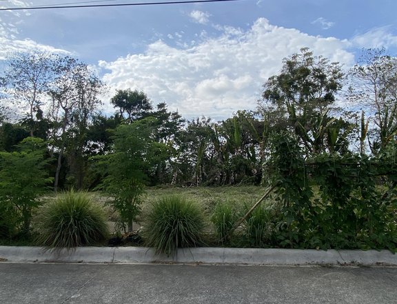 350 sqm Residential Ridge Lot For Sale in Hillsborough, Cagayan de Oro