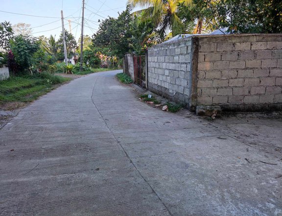 1-bedroom Single Attached House For Sale in Kananga Leyte