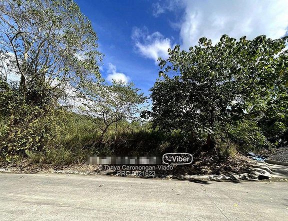 RELATIVELY FLAT AND ELEVATED | WITH NATURE VIEW | 461SQM LOT FOR SALE