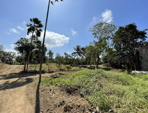 120 sqm Residential Farm For Sale in Silang Cavite