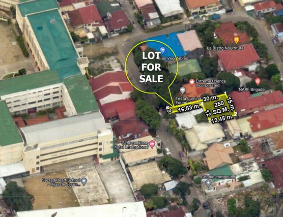COMMERCIAL LOT FOR SALE IN KAMPUTHAW CEBU CITY