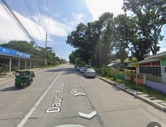 210 sqm Commercial Lot For Sale in Dauis Bohol