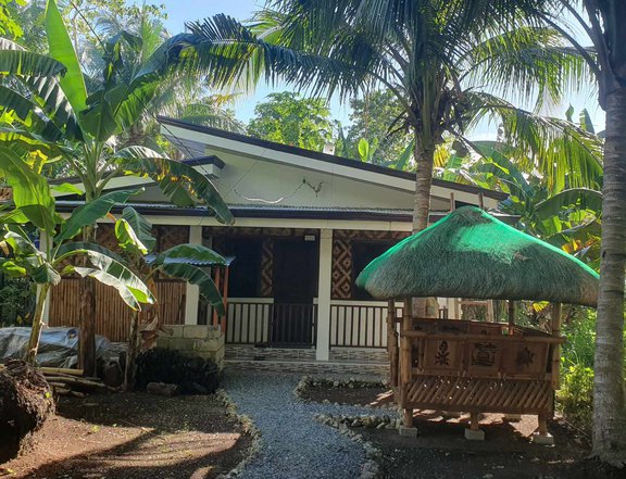 2-bedroom House near sand beach For Sale in Camotes, Cebu