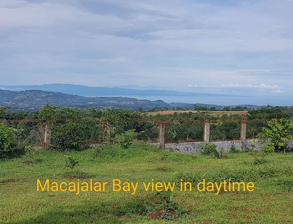5 hectares Agricultural Farm For Sale in Claveria Misamis Oriental
