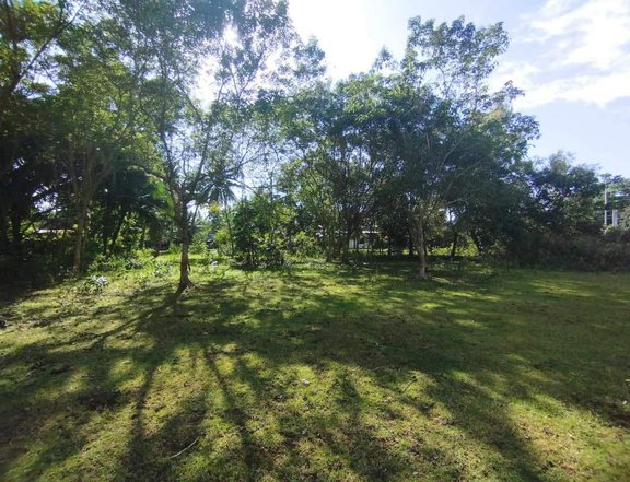 2,000 sqm Commercial Lot For Sale in Dauis Bohol