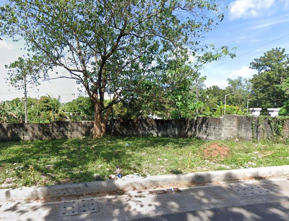 CORNER! 137 sqm Commercial Lot For Sale near PAREF Rosehill, along Botong Francisco Rd. Antipolo