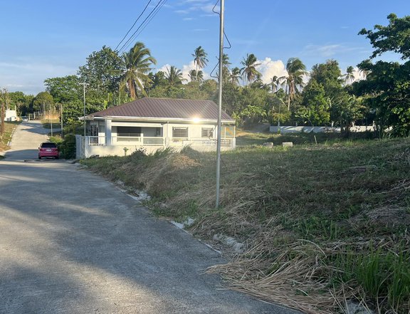 120sqm Ready for Housing Lot for sale in Mendez near Tagaytay