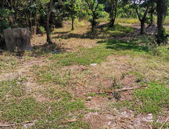 1,000 sqm Residential Farm For Sale in Alfonso Cavite