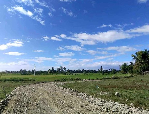 200 sqm Residential Lot For Sale in Tibiao Antique