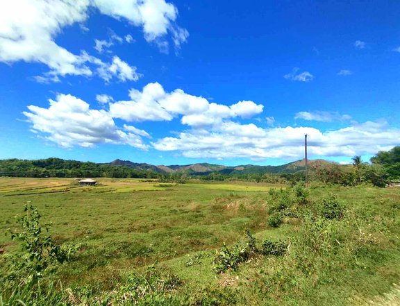 1,000 sqm Residential Lot For Sale in San Remigio Antique