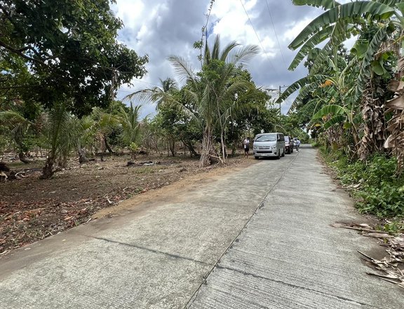 500sqm Fruit Bearing Farm Lot for sale in Bailen Cavite