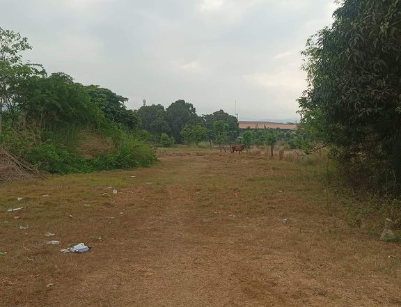 Residential Lot at Poblacion Bacnotan, La Union